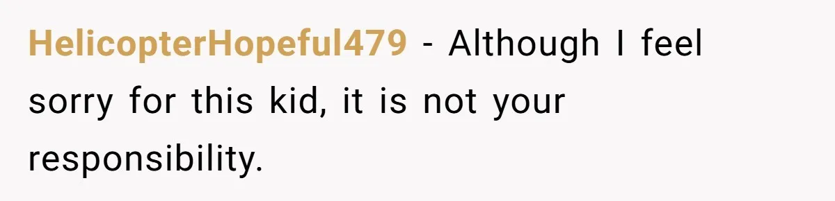Wife Tells Husband She Won’t Accept His Affair Child In The House—If He Wants Custody, He Can Leave HelicopterHopeful479 − Although I feel sorry for this kid, it is not your responsibility.