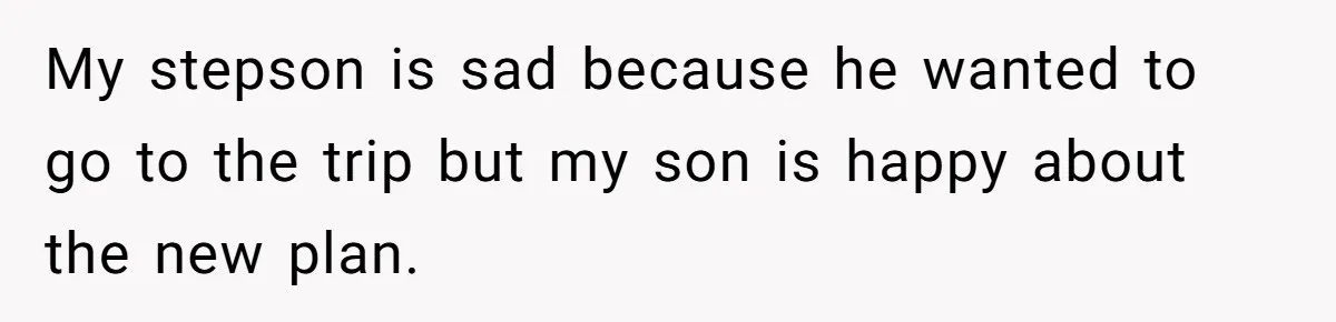 Mom Strips Thrilled Stepson Of Disney Trip After Biological Son Throws Tantrum Over Girlfriend’s Birthday My stepson is sad because he wanted to go to the trip but my son is happy about the new plan.