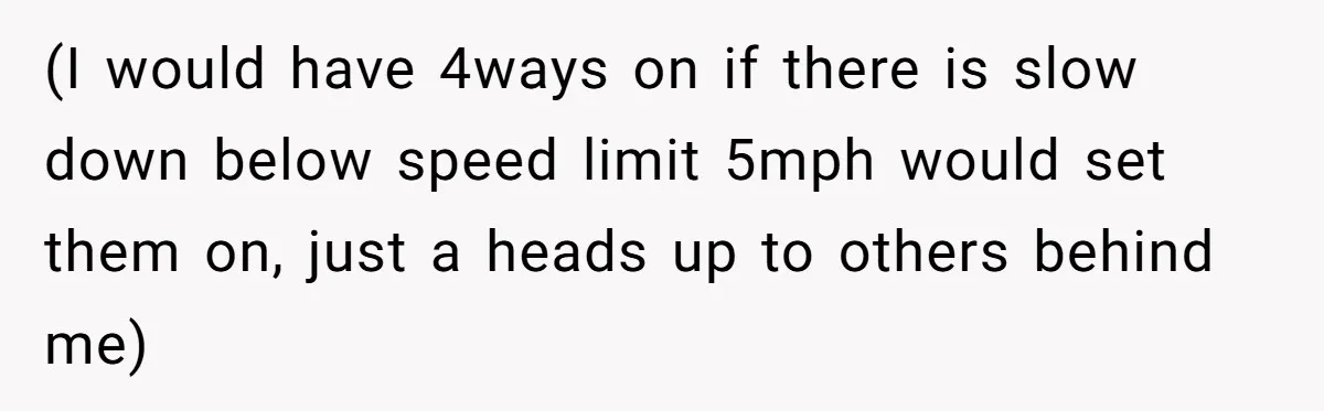 Driver Tries to Play Games with a Trucker - Ends Up Getting Pulled Over Instead (I would have 4ways on if there is slow down below speed limit 5mph would set them on, just a heads up to others behind me)