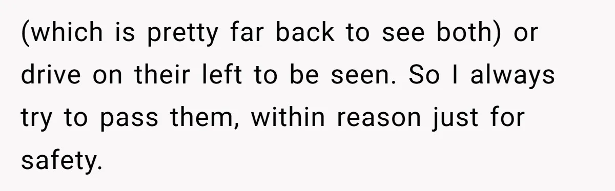 Driver Tries to Play Games with a Trucker - Ends Up Getting Pulled Over Instead (which is pretty far back to see both) or drive on their left to be seen. So I always try to pass them, within reason just for safety.