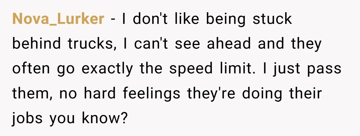Driver Tries to Play Games with a Trucker - Ends Up Getting Pulled Over Instead Nova_Lurker − I don't like being stuck behind trucks, I can't see ahead and they often go exactly the speed limit. I just pass them, no hard feelings they're doing...