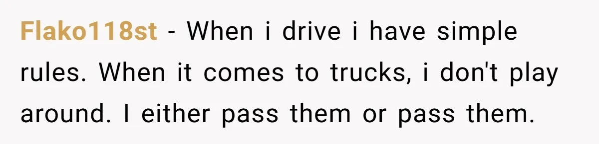 Driver Tries to Play Games with a Trucker - Ends Up Getting Pulled Over Instead Flako118st − When i drive i have simple rules. When it comes to trucks, i don't play around. I either pass them or pass them.