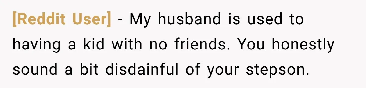 [Reddit User] − My husband is used to having a kid with no friends. You honestly sound a bit disdainful of your stepson.