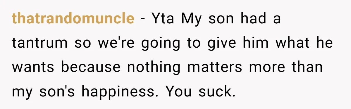 Mom Strips Thrilled Stepson Of Disney Trip After Biological Son Throws Tantrum Over Girlfriend’s Birthday thatrandomuncle − Yta My son had a tantrum so we're going to give him what he wants because nothing matters more than my son's happiness. You suck.