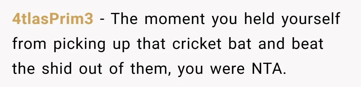Husband Takes Affair Partner’s Wallet And Keys In Revenge, And It Costs Him His Marriage 4tlasPrim3 − The moment you held yourself from picking up that cricket bat and beat the shid out of them, you were NTA.