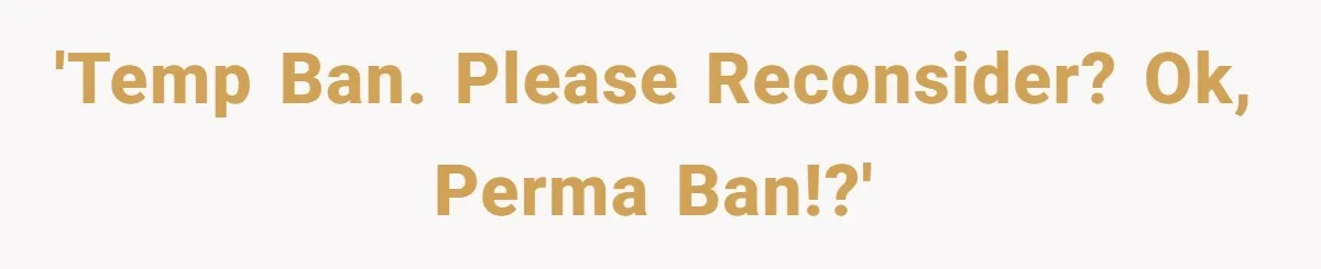 Player Appeals a 24-Hour Ban… Developers Check the Logs and Hit Him With a Permanent One Instead 'Temp ban. Please reconsider? OK, perma ban!?'