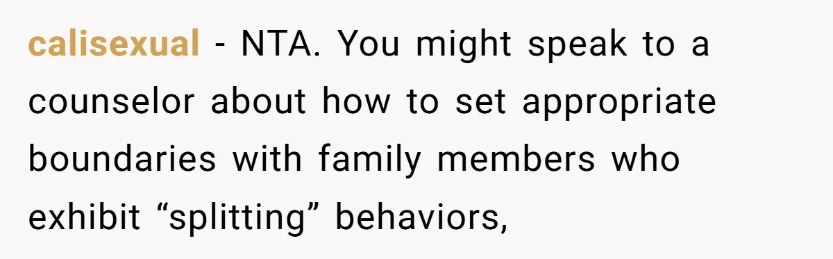 Son Calls Mother Heartless For Demanding Time With Fiancée While She Mourns Brother’s Sudden Death calisexual − NTA. You might speak to a counselor about how to set appropriate boundaries with family members who exhibit “splitting” behaviors,