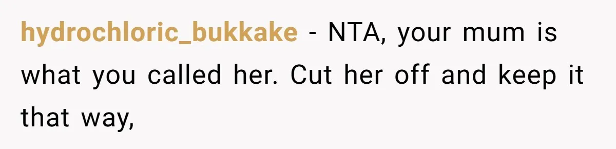Son Calls Mother Heartless For Demanding Time With Fiancée While She Mourns Brother’s Sudden Death hydrochloric_bukkake − NTA, your mum is what you called her. Cut her off and keep it that way,