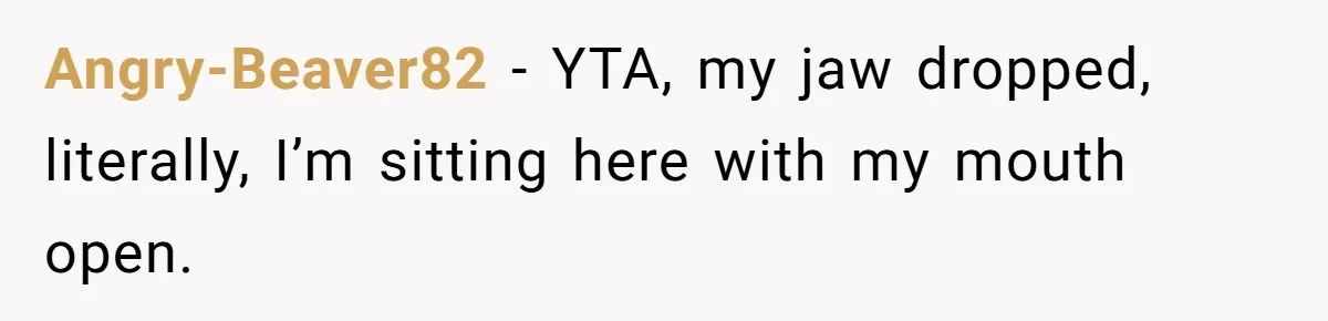 "Woman Spends $4500 On Christmas Dinner And Airbnb, Now Her Family Wants Nothing To Do With Her Request Angry-Beaver82 − YTA, my jaw dropped, literally, I’m sitting here with my mouth open.