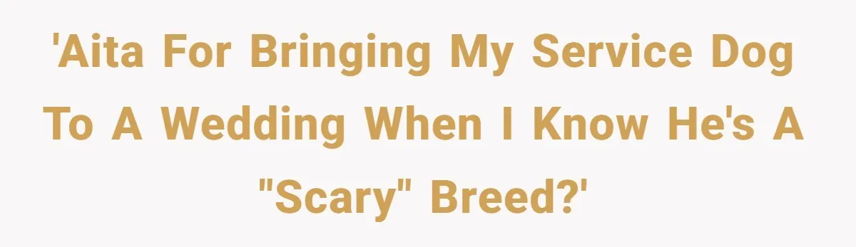 Woman Kicked Out of Wedding For Bringing Her Dobermann Service Dog, Should She Have Left Him Behind? 'AITA for bringing my service dog to a wedding when I know he's a "scary" breed?'