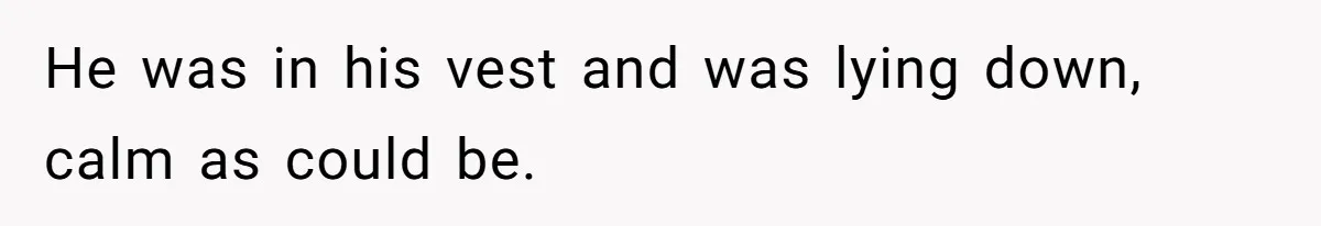 Woman Kicked Out of Wedding For Bringing Her Dobermann Service Dog, Should She Have Left Him Behind? He was in his vest and was lying down, calm as could be.