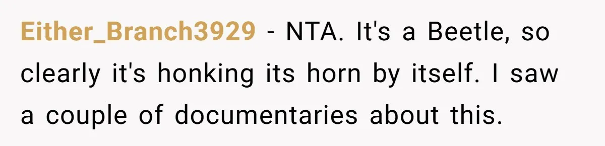 Neighbor Keeps Snapping Photos Of Woman’s Car, Gets Loud Surprise Every Time Either_Branch3929 − NTA. It's a Beetle, so clearly it's honking its horn by itself. I saw a couple of documentaries about this.