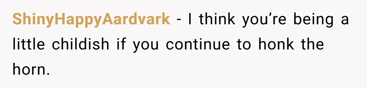Neighbor Keeps Snapping Photos Of Woman’s Car, Gets Loud Surprise Every Time ShinyHappyAardvark − I think you’re being a little childish if you continue to honk the horn.