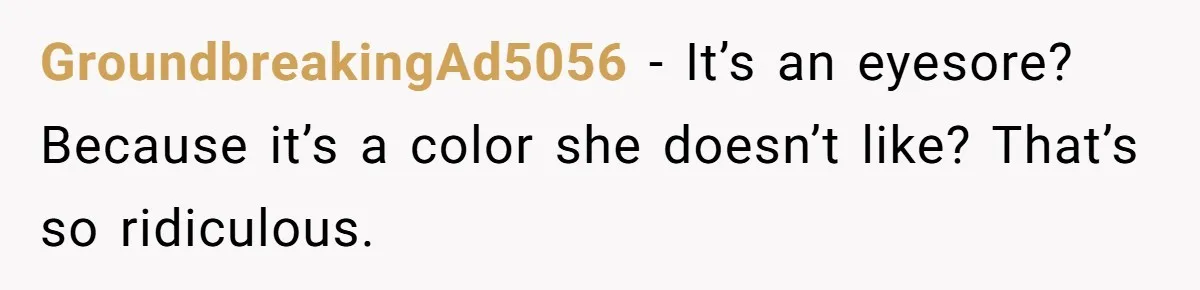 Neighbor Keeps Snapping Photos Of Woman’s Car, Gets Loud Surprise Every Time GroundbreakingAd5056 − It’s an eyesore? Because it’s a color she doesn’t like? That’s so ridiculous.