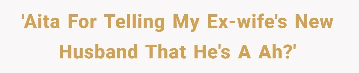 Man Gets Caught In The Middle Of His Ex-Wife’s Marriage After Her Husband Challenges Their Friendship 'AITA for telling my ex-wife's new husband that he's a AH?'