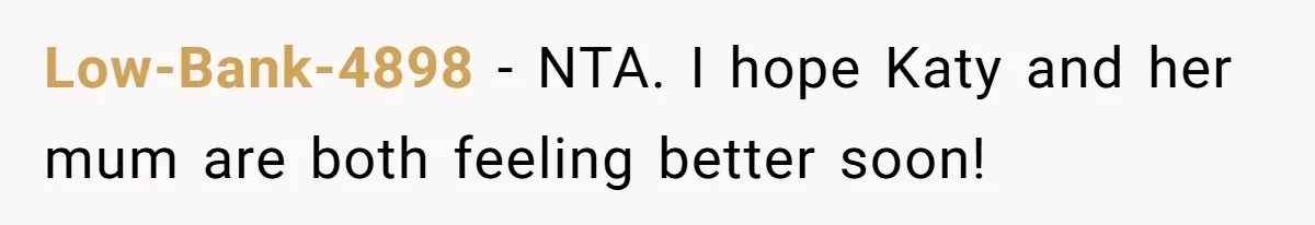 Man Gets Caught In The Middle Of His Ex-Wife’s Marriage After Her Husband Challenges Their Friendship Low-Bank-4898 − NTA. I hope Katy and her mum are both feeling better soon!