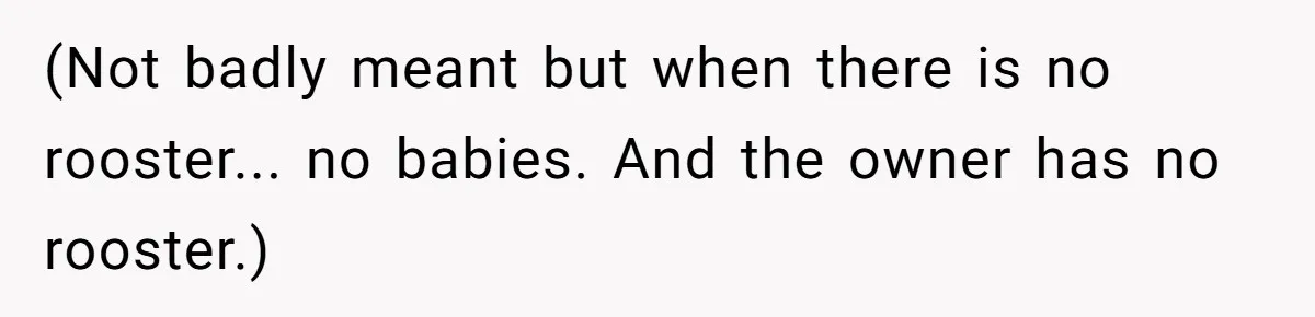 Vegetarian Woman Questions Vegan’s Makeup Choices, Accidentally Triggers Full-Blown Identity Meltdown Online (Not badly meant but when there is no rooster... no babies. And the owner has no rooster.)