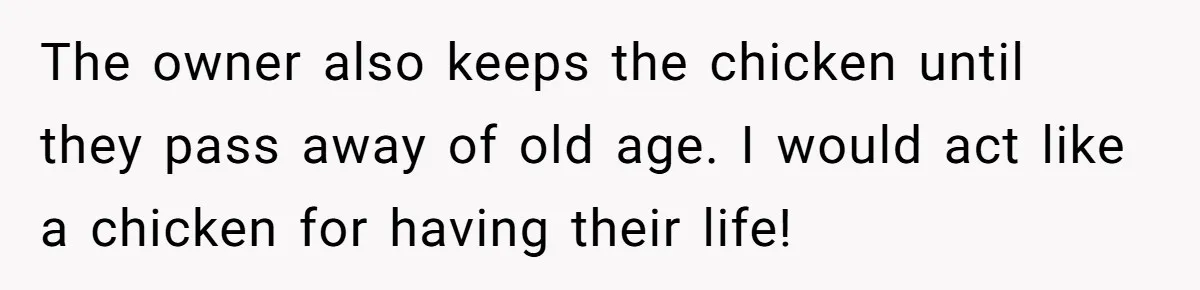 Vegetarian Woman Questions Vegan’s Makeup Choices, Accidentally Triggers Full-Blown Identity Meltdown Online The owner also keeps the chicken until they pass away of old age. I would act like a chicken for having their life!