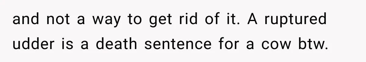 Vegetarian Woman Questions Vegan’s Makeup Choices, Accidentally Triggers Full-Blown Identity Meltdown Online and not a way to get rid of it. A ruptured udder is a death sentence for a cow btw.