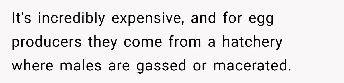 Vegetarian Woman Questions Vegan’s Makeup Choices, Accidentally Triggers Full-Blown Identity Meltdown Online It's incredibly expensive, and for egg producers they come from a hatchery where males are gassed or macerated.