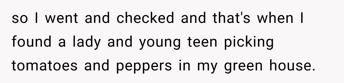 Man Catches New Neighbor Stealing from His Greenhouse—She Lies, Breaks His Property, and He Presses Charges Anyway so I went and checked and that's when I found a lady and young teen picking tomatoes and peppers in my green house.