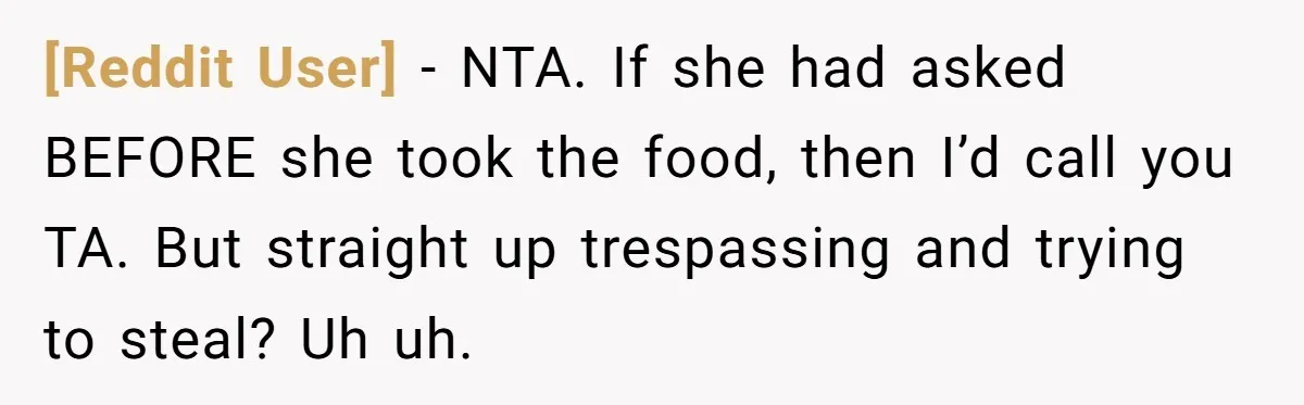 [Reddit User] − NTA. If she had asked BEFORE she took the food, then I’d call you TA. But straight up trespassing and trying to steal? Uh uh.