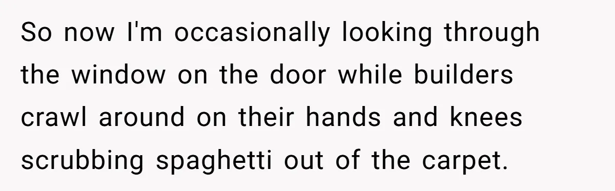 Office Worker Finally Snaps After Builders Turn His Entrance Into a Dumping Ground - One Bowl of Spaghetti Ends Their Nonsense So now I'm occasionally looking through the window on the door while builders crawl around on their hands and knees scrubbing spaghetti out of the carpet.