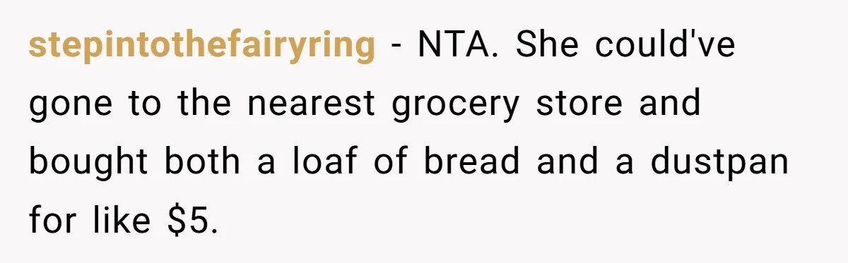 After Using Her Roommate’s Banana Cake To Clean Glass, She’s Left Wondering Why Her Roommate Is Furious stepintothefairyring − NTA. She could've gone to the nearest grocery store and bought both a loaf of bread and a dustpan for like $5.