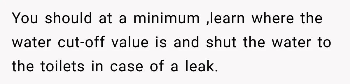 Man Who Does Everything Except Handyman Work Gets Branded “Not A Man”, Reacts Accordingly You should at a minimum ,learn where the water cut-off value is and shut the water to the toilets in case of a leak.