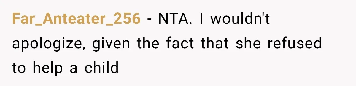 SIL Polices A Toddler’s Speech, So This Mom Shows Her What “Correct English” Really Looks Like Far_Anteater_256 − NTA. I wouldn't apologize, given the fact that she refused to help a child