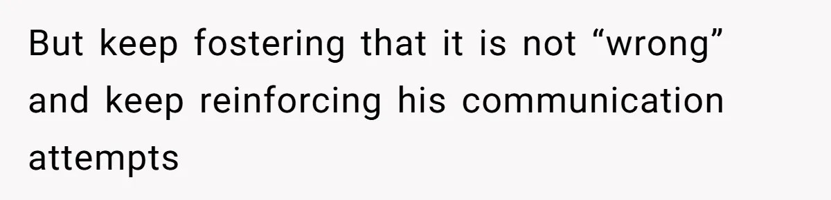 SIL Polices A Toddler’s Speech, So This Mom Shows Her What “Correct English” Really Looks Like But keep fostering that it is not “wrong” and keep reinforcing his communication attempts