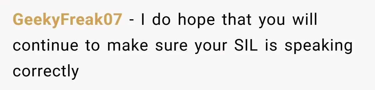 SIL Polices A Toddler’s Speech, So This Mom Shows Her What “Correct English” Really Looks Like GeekyFreak07 − I do hope that you will continue to make sure your SIL is speaking correctly