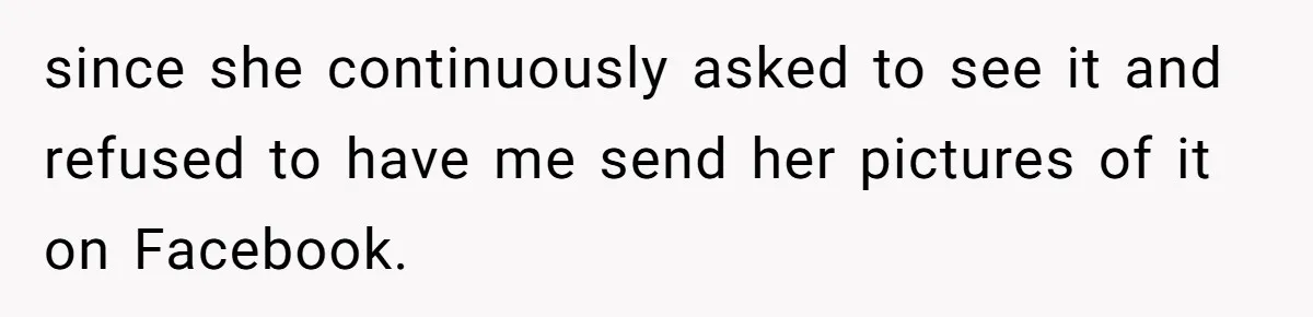 Bride-To-Be Furiously Demands A New Wedding Dress After Fiancé Lets Mom And Sister Try It On since she continuously asked to see it and refused to have me send her pictures of it on Facebook.