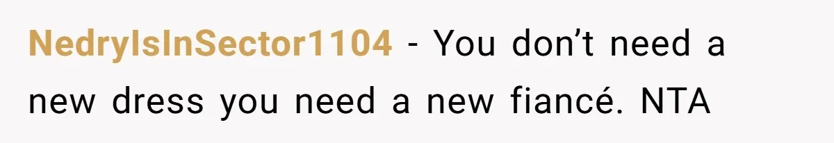 Bride-To-Be Furiously Demands A New Wedding Dress After Fiancé Lets Mom And Sister Try It On NedryIsInSector1104 − You don’t need a new dress you need a new fiancé. NTA