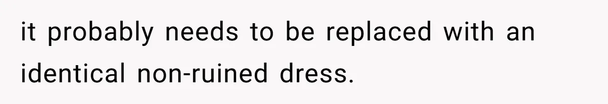 Bride-To-Be Furiously Demands A New Wedding Dress After Fiancé Lets Mom And Sister Try It On it probably needs to be replaced with an identical non-ruined dress.