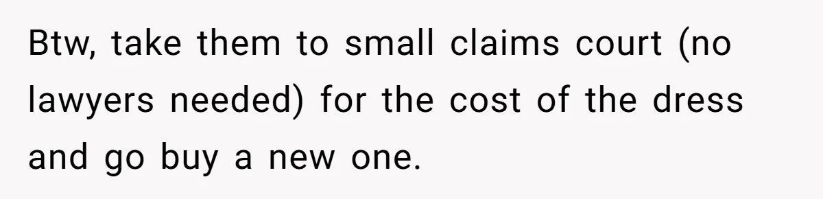 Bride-To-Be Furiously Demands A New Wedding Dress After Fiancé Lets Mom And Sister Try It On Btw, take them to small claims court (no lawyers needed) for the cost of the dress and go buy a new one.