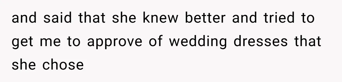 Bride-To-Be Furiously Demands A New Wedding Dress After Fiancé Lets Mom And Sister Try It On and said that she knew better and tried to get me to approve of wedding dresses that she chose