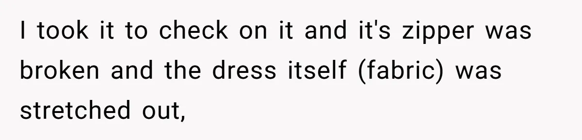 Bride-To-Be Furiously Demands A New Wedding Dress After Fiancé Lets Mom And Sister Try It On I took it to check on it and it's zipper was broken and the dress itself (fabric) was stretched out,