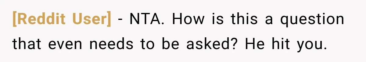 [Reddit User] − NTA. How is this a question that even needs to be asked? He hit you.