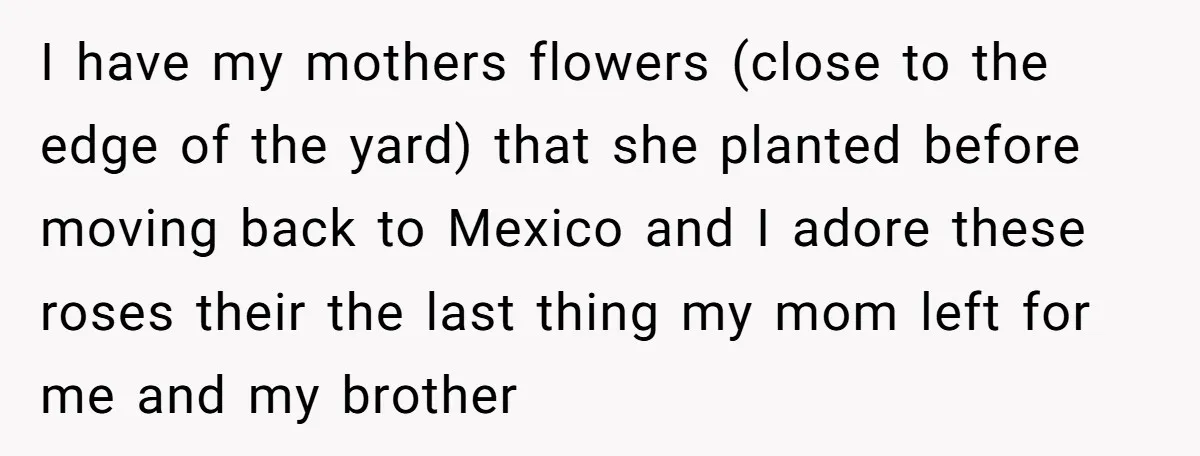 Neighbor’s Daughter Kept Driving Through His Yard - So He Installed Spikes and Let Consequences Do the Rest I have my mothers flowers (close to the edge of the yard) that she planted before moving back to Mexico and I adore these roses their the last thing my...