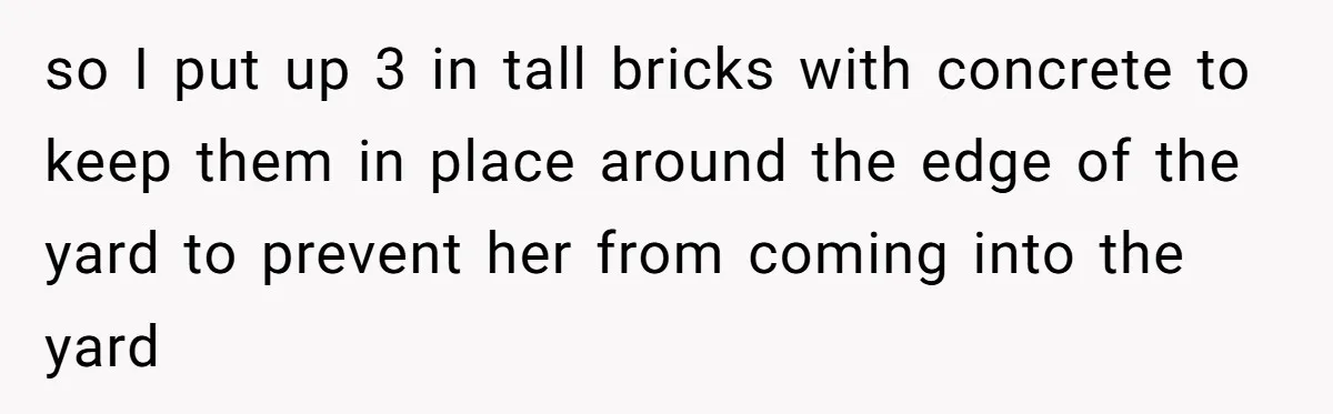 Neighbor’s Daughter Kept Driving Through His Yard - So He Installed Spikes and Let Consequences Do the Rest so I put up 3 in tall bricks with concrete to keep them in place around the edge of the yard to prevent her from coming into the yard