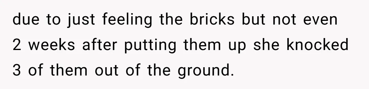 Neighbor’s Daughter Kept Driving Through His Yard - So He Installed Spikes and Let Consequences Do the Rest due to just feeling the bricks but not even 2 weeks after putting them up she knocked 3 of them out of the ground.
