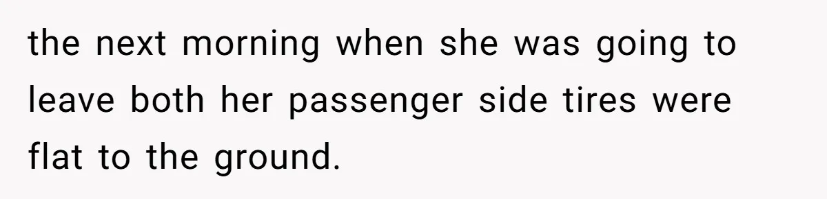Neighbor’s Daughter Kept Driving Through His Yard - So He Installed Spikes and Let Consequences Do the Rest the next morning when she was going to leave both her passenger side tires were flat to the ground.