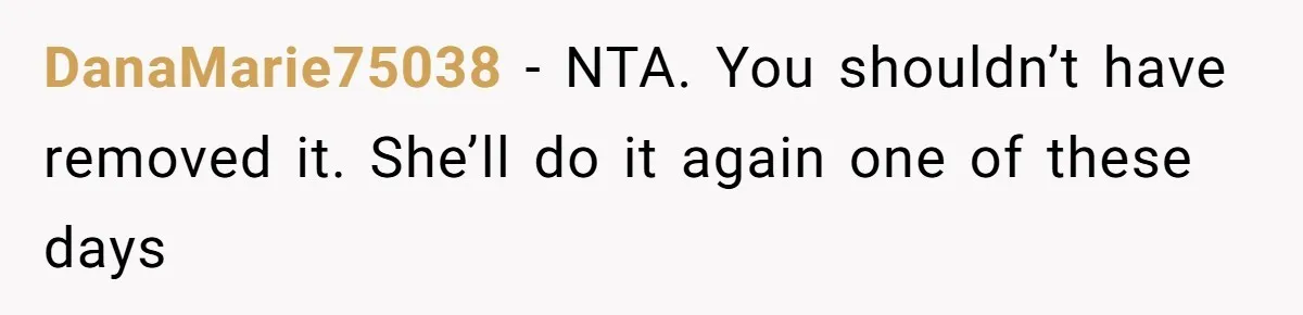 Neighbor’s Daughter Kept Driving Through His Yard - So He Installed Spikes and Let Consequences Do the Rest DanaMarie75038 − NTA. You shouldn’t have removed it. She’ll do it again one of these days