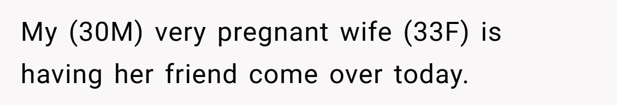 Pregnant Wife Demands Husband Tidy His Tools After He Cleaned Everything Else, Massive Fight Erupts My (30M) very pregnant wife (33F) is having her friend come over today.