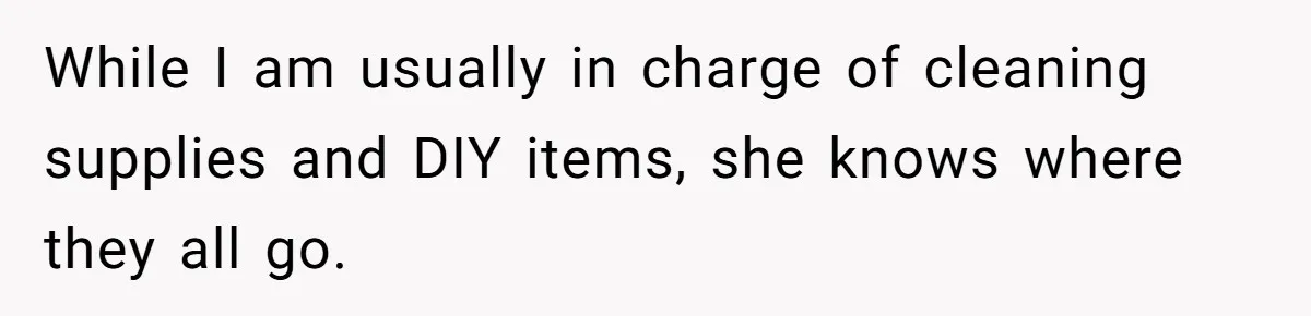 Pregnant Wife Demands Husband Tidy His Tools After He Cleaned Everything Else, Massive Fight Erupts While I am usually in charge of cleaning supplies and DIY items, she knows where they all go.