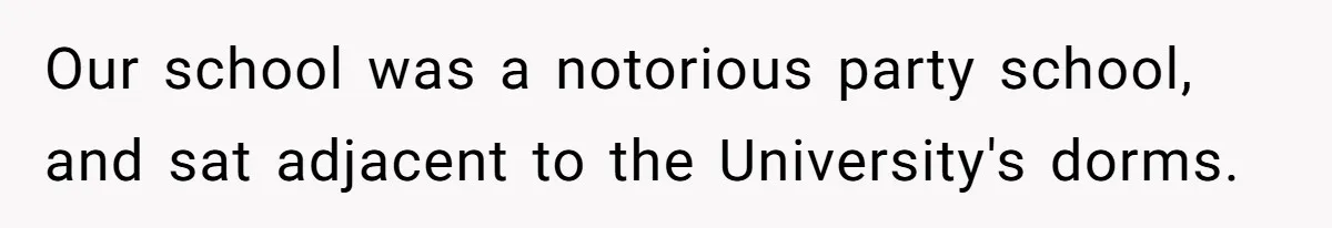 High School Teacher Called Me a ‘Looser’ Who’d Never Amount to Anything - 20 Years Later, I Ran Into Her at the Same University… and I’m the Professor Now Our school was a notorious party school, and sat adjacent to the University's dorms.