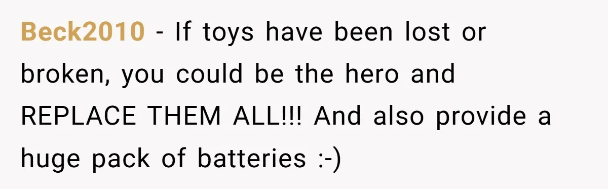 Sister’s Brilliant Revenge On Brother Who Tried To Control Her Gift Giving, You Won’t Believe The Toys She Chose Beck2010 − If toys have been lost or broken, you could be the hero and REPLACE THEM ALL!!! And also provide a huge pack of batteries :-)