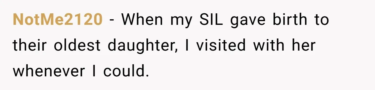 Sister’s Brilliant Revenge On Brother Who Tried To Control Her Gift Giving, You Won’t Believe The Toys She Chose NotMe2120 − When my SIL gave birth to their oldest daughter, I visited with her whenever I could.