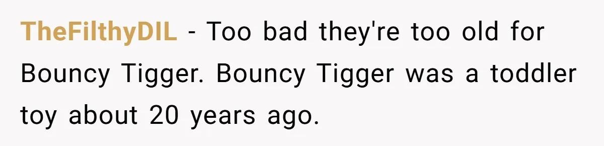 Sister’s Brilliant Revenge On Brother Who Tried To Control Her Gift Giving, You Won’t Believe The Toys She Chose TheFilthyDIL − Too bad they're too old for Bouncy Tigger. Bouncy Tigger was a toddler toy about 20 years ago.